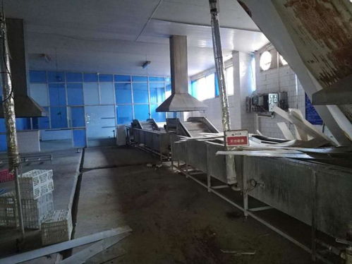 鹽城海馬食品資產網絡拍賣啟幕，廠房設備打包2115萬起拍引關注